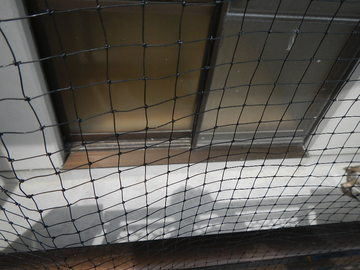 磐田市国土交通省官舎鳩除け工事.JPG