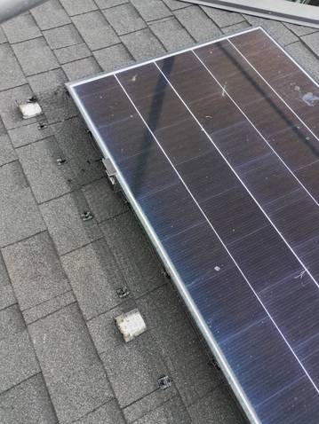 251107 鳩除けブログ (9).jpg