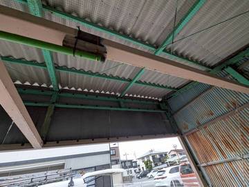鳩除け