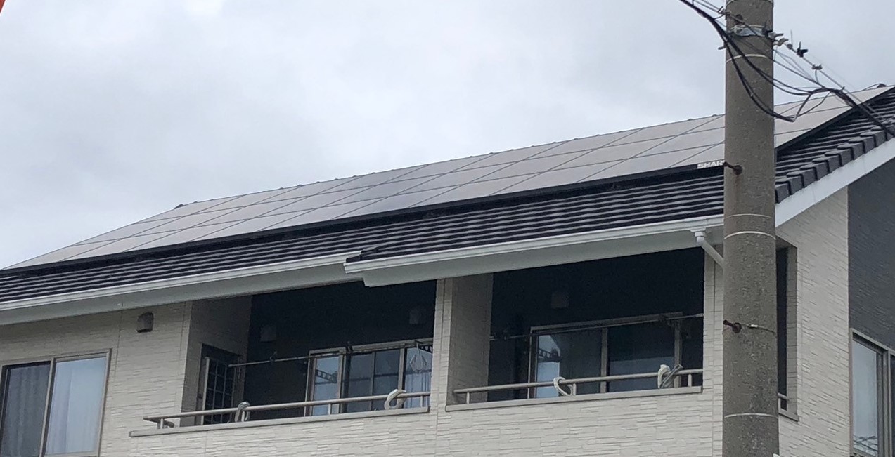 Https Www Hatoyoke Jp Column E9 B3 A9 E9 99 A4 E3 81 91 Jpg