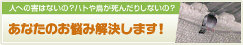 人への害はないの？ハトや鳥が死んだりしないの？ あなたのお悩み解決します！